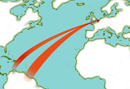 Historia holenderskiej imigracji - czwarta fala z Karaibów i piąta: uchodźcy 
