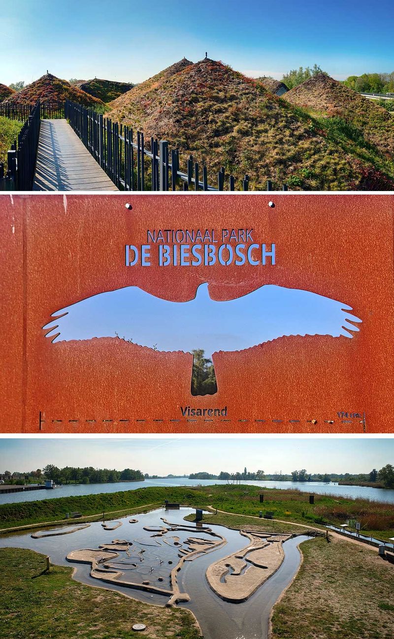 Muzeum parku narodowego Biesbosch