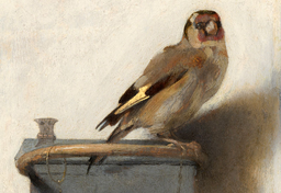 Carel Fabritius