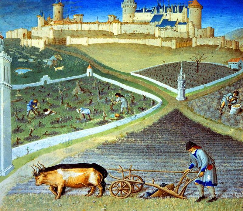 chłopi pańszczyźniani 