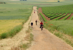 Droga św. Jakuba do Santiago de Compostela - I