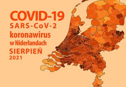 Covid-19 w Holandii