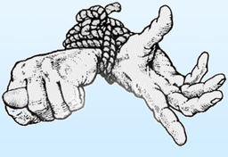 Poradnik dla tych co wybierają się do...