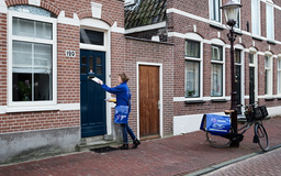 Dzieci w Holandii też pracują