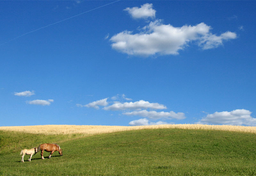 Gdzie na urlop? Moje ulubione miejsca w Polsce