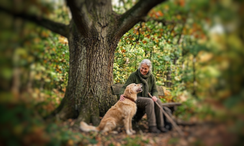 Drzewa, zwierzęta i ludzie