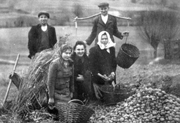 Polskie mity historyczne