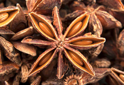 Historia przypraw korzennych