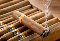 Historia tytoniu, fajki i tabaki