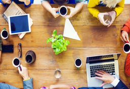 Holandia na zebraniu