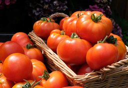 Holenderskie pomidory i nasiona