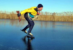 Holenderskie statystyki 2019