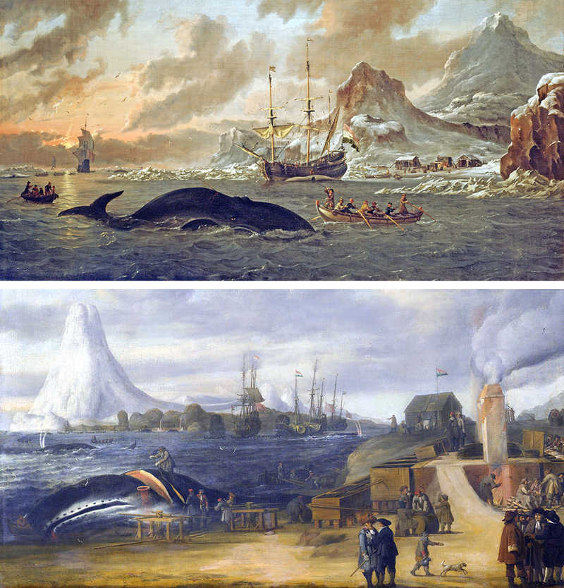 Holenderskie wielorybnictwo 