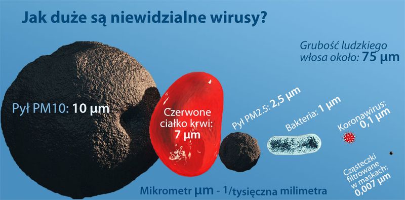 jaki jest rozmiar wirusa i bakterii 
