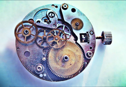 Kapsuła czasu znaleziona w domu towarowym