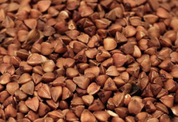 Kasza gryczana czyli pogańskie krupy