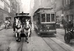 Koń biologiczny i mechaniczny