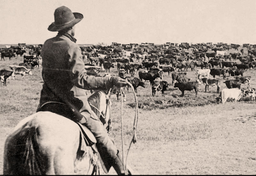 Koordynator z holenderskiej agencji pracy