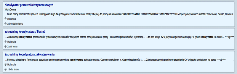 Koordynator z holenderskiej agencji pracy