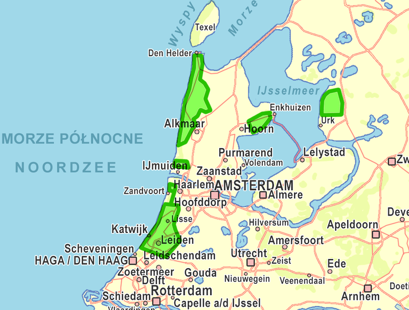 pola tulipanów w Holandii