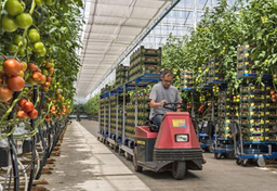 Nowa ustawa - lepsze warunki dla pracowników tymczasowych w Holandii