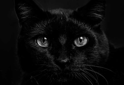 Lista polskich zabobonów i przesądów