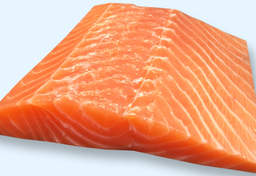 Łosoś atlantycki - straszny ale smaczny