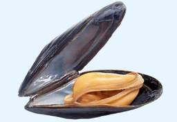 Owoce morza Północnego i Atlantyku