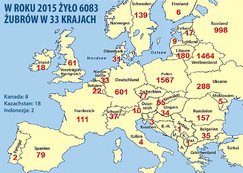 Ilość żubrów w Europie w 2015
