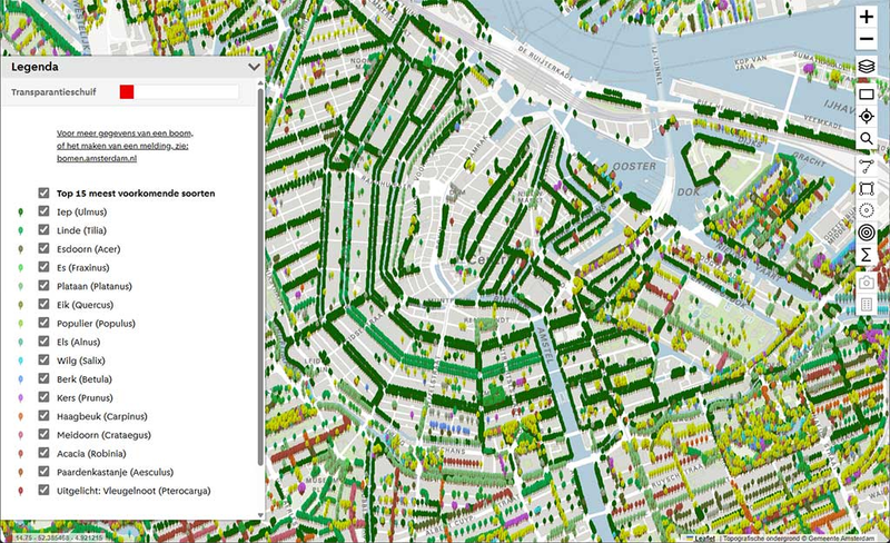 Mapa drzew Amsterdamu