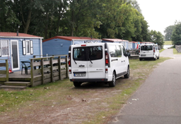 Masowy napływ Polaków przeraża Holandię