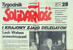 Mój pierwszy dzień w Holandii - żwir pod nogami