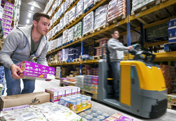 Moja przygoda z Holandią - pojechałem zarobić