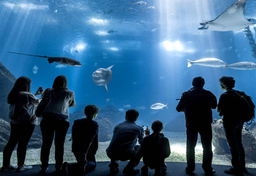 Najpopularniejsze ogrody zoologiczne w Holandii