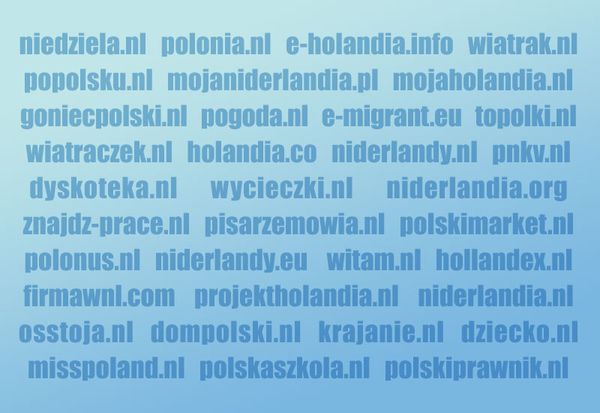 Najpopularniejsze polskie strony w Holandii