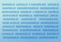 Najpopularniejsze polskie strony w Holandii