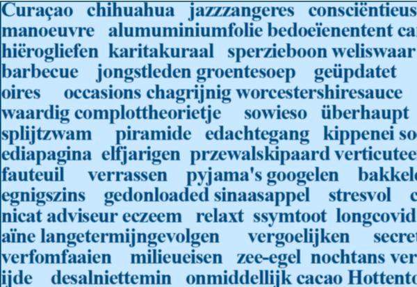Wielkie Narodowe Dyktando języka Niderlandzkiego