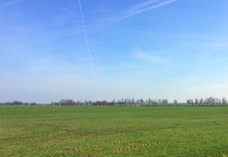 Niebiesko i zielono, czyli Holandia