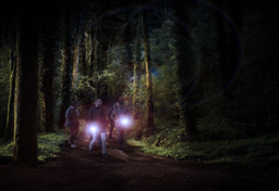 Nocne podchody na orientację - wychowywanie dzieci po holendersku