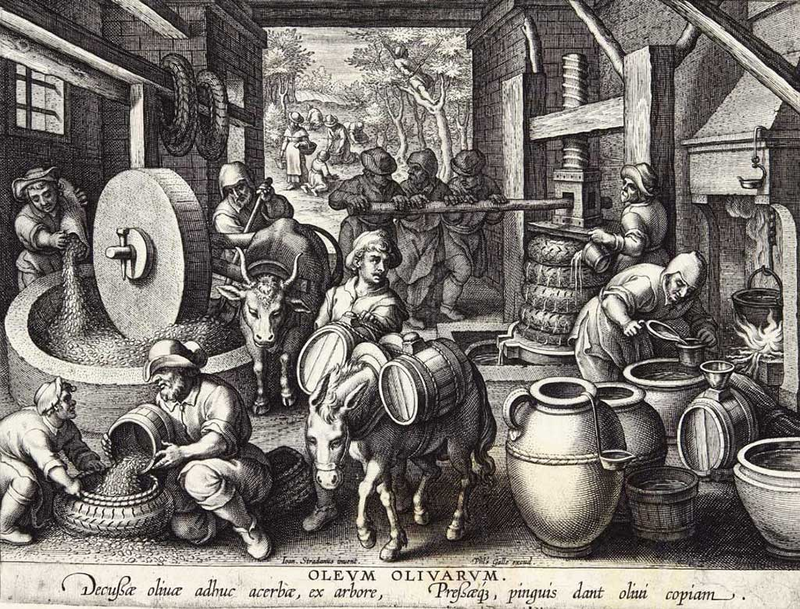 młyn oliwny olejowy oliwki