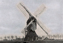 Nowochrzczeńcy nad Wisłą czyli historia polskich Holendrów