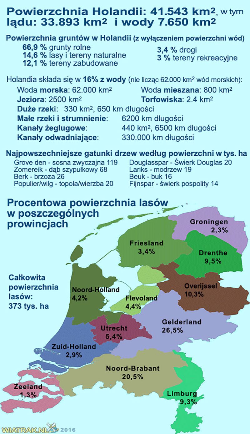 statystyki Holandii