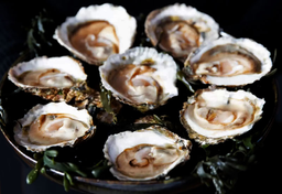 Poławiacze ostryg z Zelandii