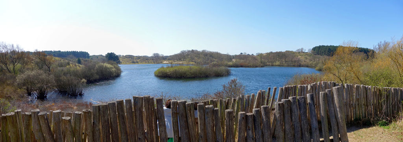 Park Narodowy Zuid-Kennemerland i punkt widokowy obserwacji żubrów w Kraansvlak