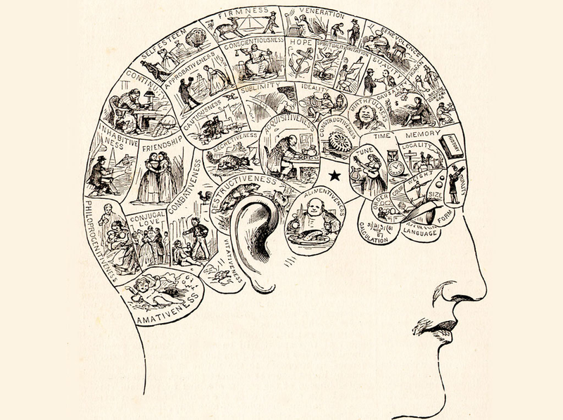 noworodek rozwój mózgu  