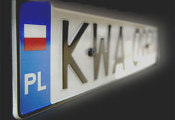 Polacy w Hadze czyli MOE-landers w Holandii