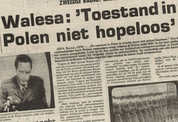 Polacy w holenderskich mediach 2010