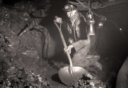 Polacy w holenderskiej Limburgii