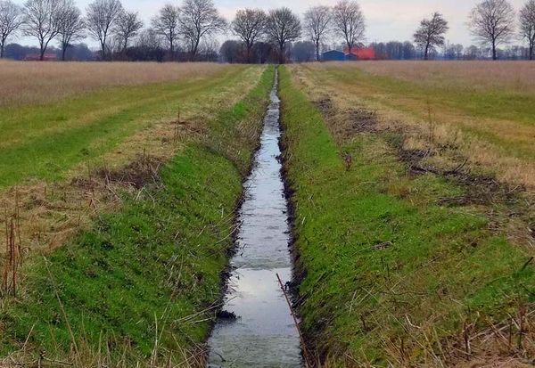 Polder - co to jest?