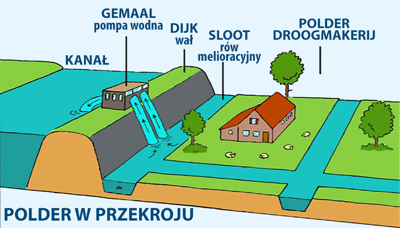 Schemat polderu w Holandii